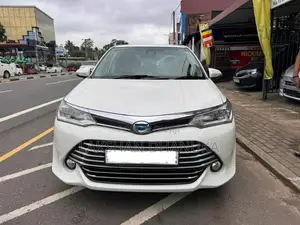 Toyota Axio G 2015 Car (Used)