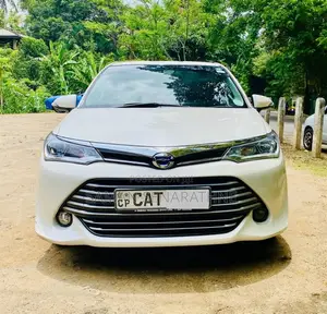 Toyota Axio G 2017 Car (Used)