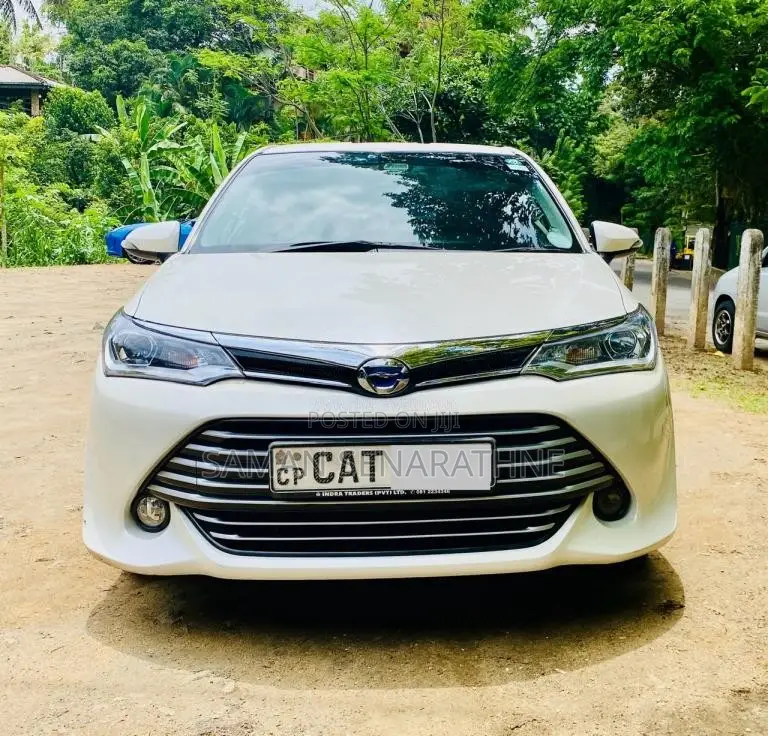 Toyota Axio G 2017 Car (Used)