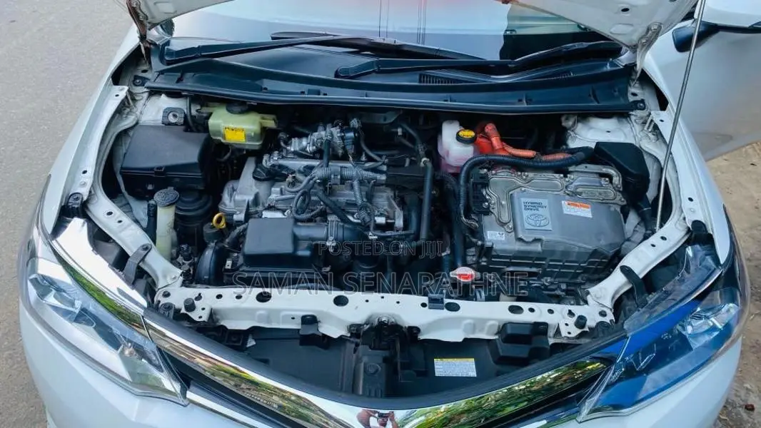 Toyota Axio G 2017 Car (Used)