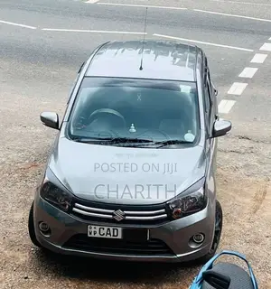Suzuki Celerio 2015 Car (Used)