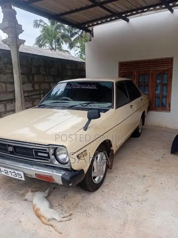Nissan Sunny 1980 Car (Used)