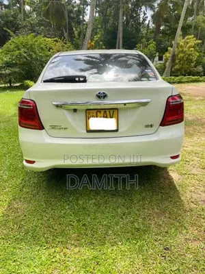 Toyota Axio 2016 Car (Used)