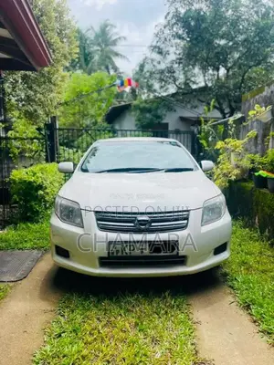 Toyota Axio 2007 Car (Used)