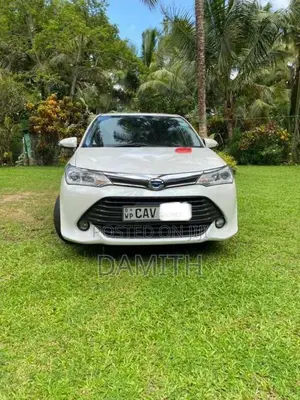Toyota Axio 2016 Car (Used)