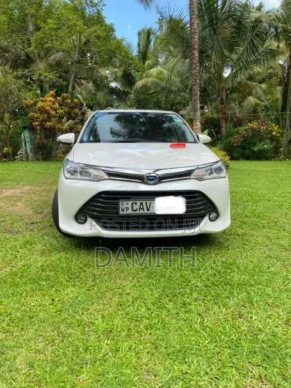 Toyota Axio 2016 Car (Used)
