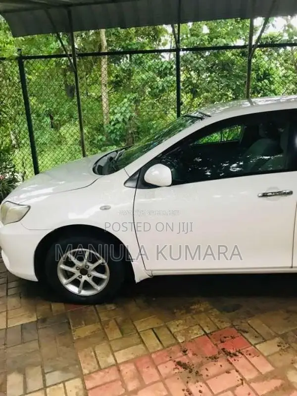 Toyota Axio 2008 Car (Used)
