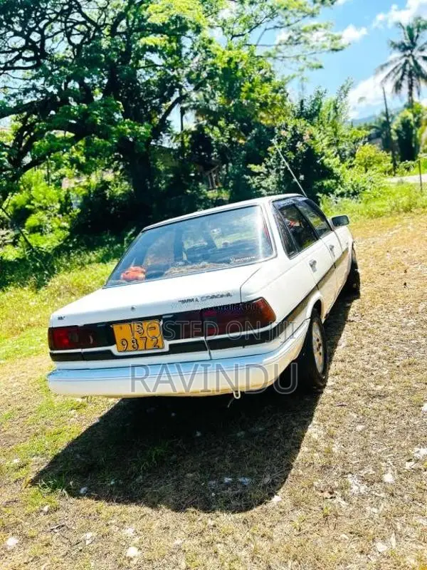 Toyota Corona 1989 Car (Used)