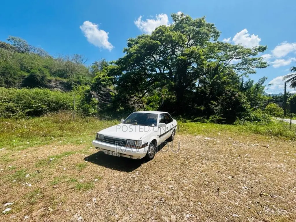 Toyota Corona 1989 Car (Used)