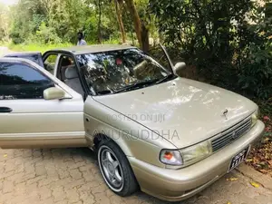 Nissan Sunny 1996 Car (Used)