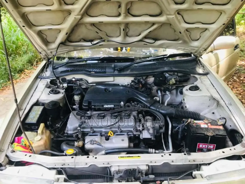 Nissan Sunny 1996 Car (Used)