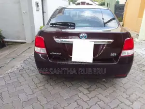 Toyota Axio 2015 Car (Used)