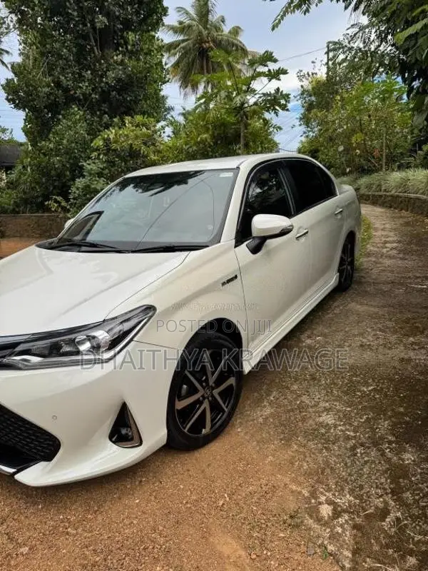 Toyota Axio WXB 2018 Car (Used)