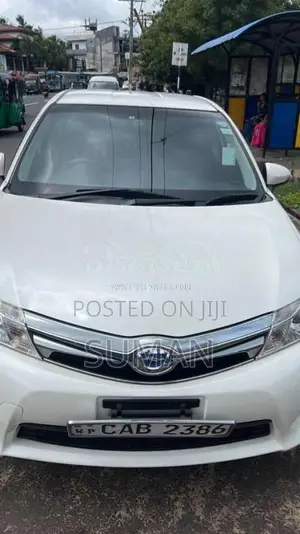 Toyota Axio 2014 Car (Used)