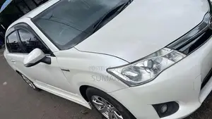 Toyota Axio 2014 Car (Used)