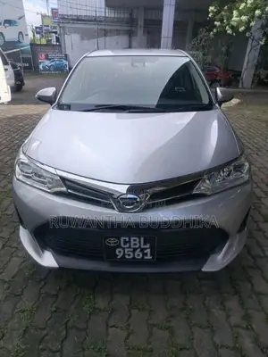 Toyota Axio 2019 Car (Used)