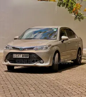 Toyota Axio 2016 Car (Used)