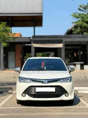 Toyota Axio 2017 Car (Used)