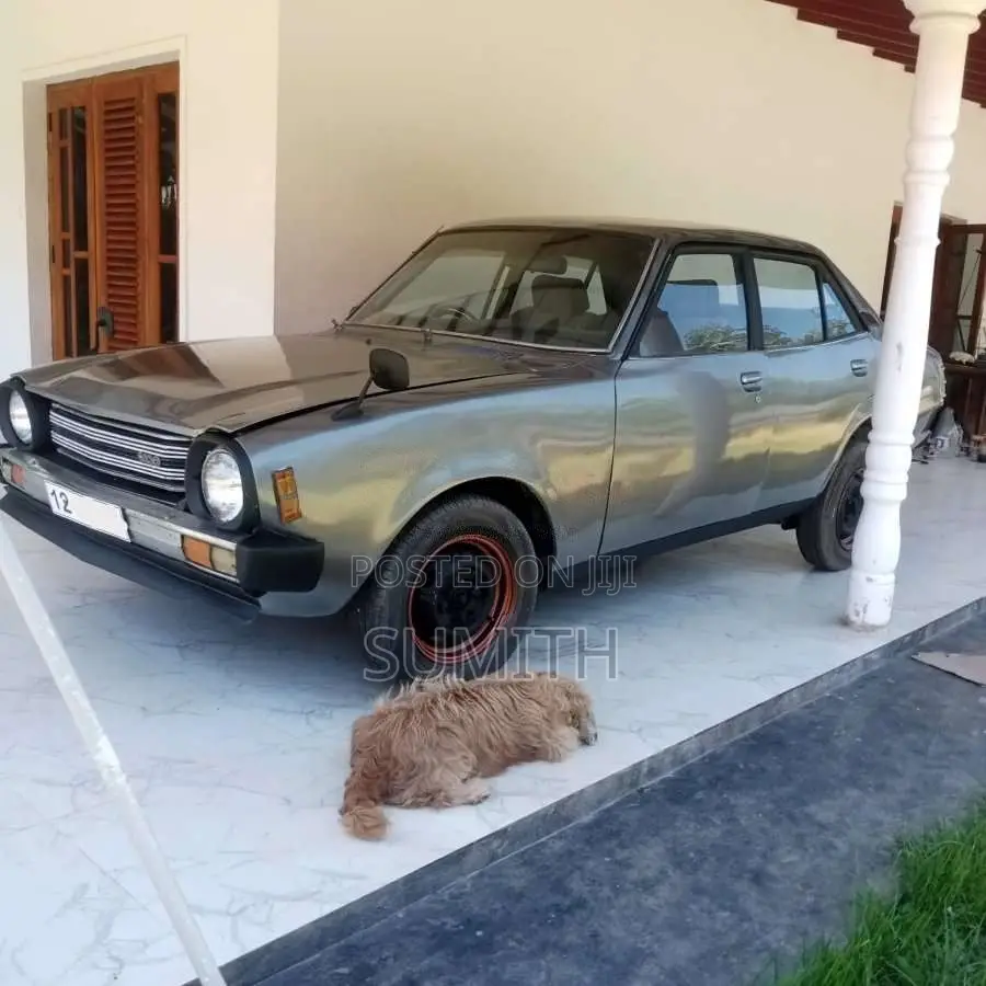 Mitsubishi Lancer Flat Light 1977 Car (Used)