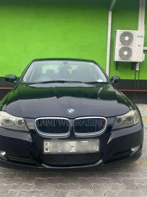 BMW 318i 2010 Car (Used)