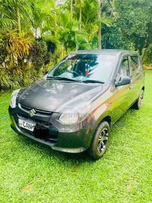 Suzuki Alto 800 2015 Car (Used)