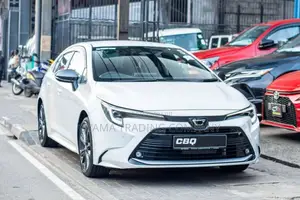 Toyota Corolla WXB 2024 Car (Used)
