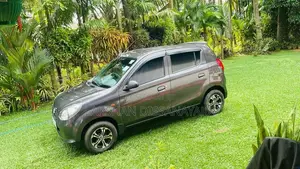 Suzuki Alto 800 2015 Car (Used)