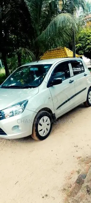 Suzuki Celerio 2015 Car (Used)