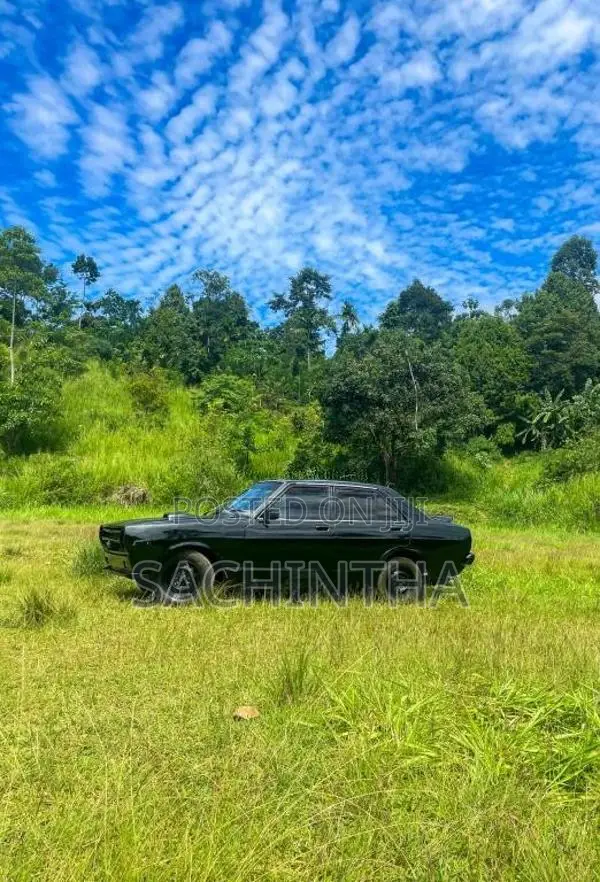 Nissan B310 1980 Car (Used)