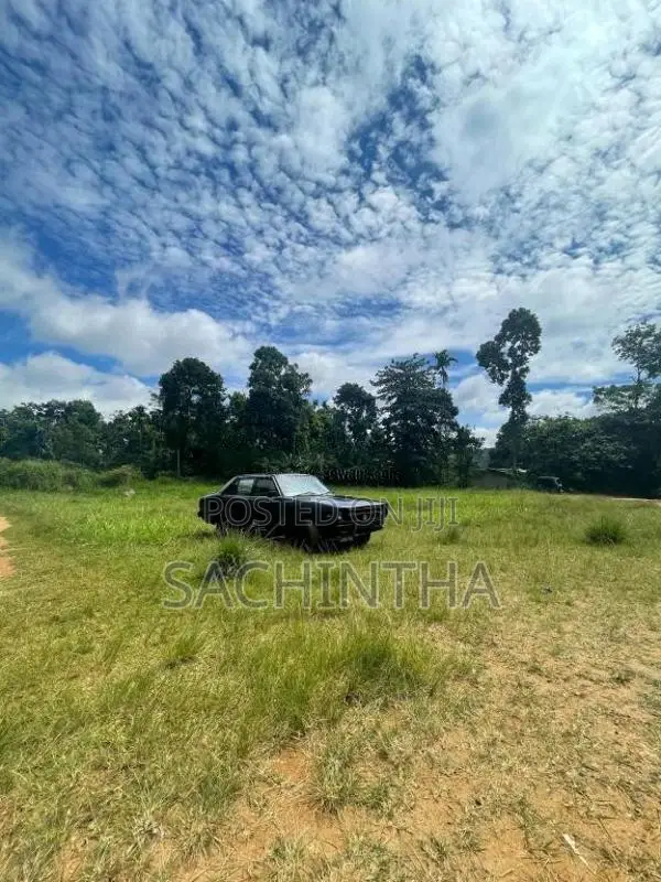 Nissan B310 1980 Car (Used)