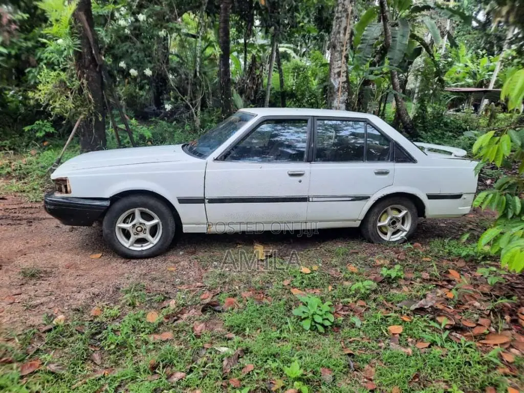 Toyota AA60 1986 Car (Used)