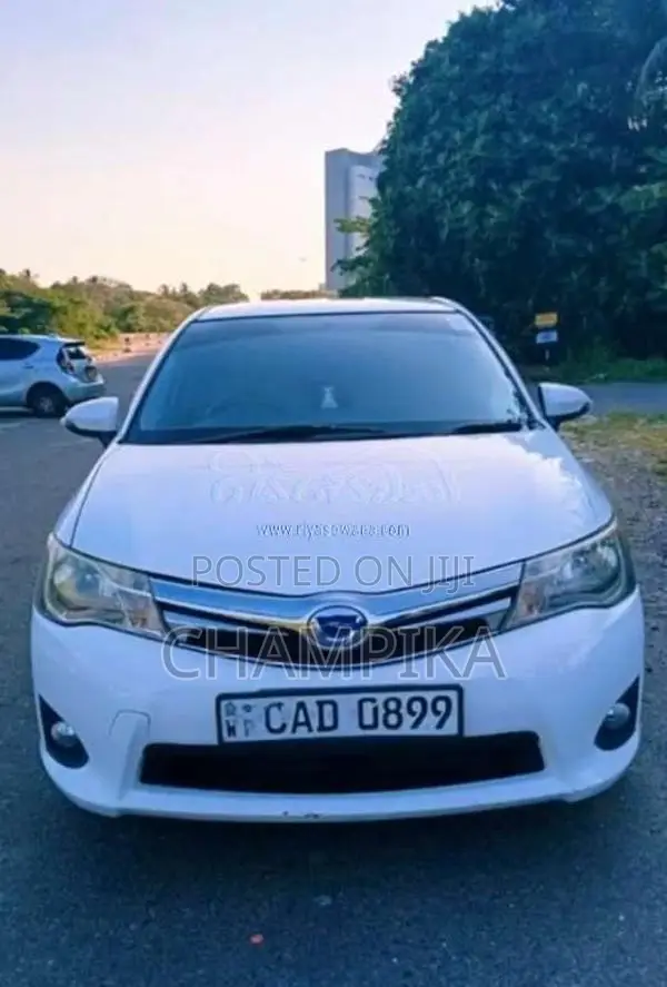 Toyota Axio 2014 Car (Used)