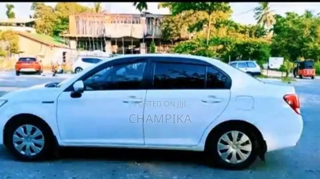 Toyota Axio 2014 Car (Used)