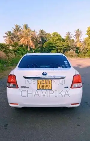 Toyota Axio 2014 Car (Used)