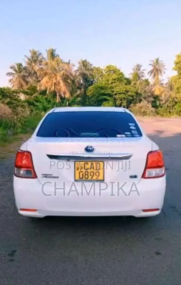 Toyota Axio 2014 Car (Used)