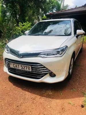 Toyota Axio 2016 Car (Used)