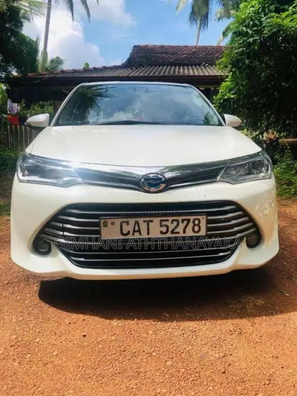 Toyota Axio 2016 Car (Used)