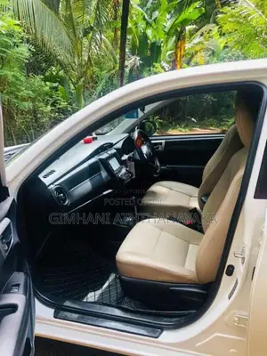 Toyota Axio 2016 Car (Used)