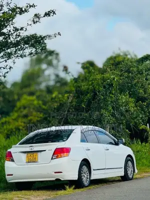 Toyota Allion 2010 Car (Used)