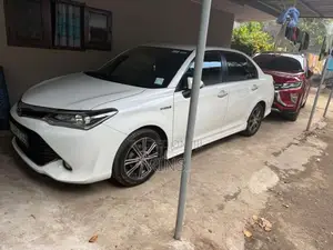 Toyota Axio Wxb 2016 Car (Used)