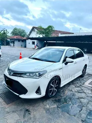 Toyota Axio 2018 Car (Used)