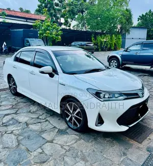 Toyota Axio 2018 Car (Used)