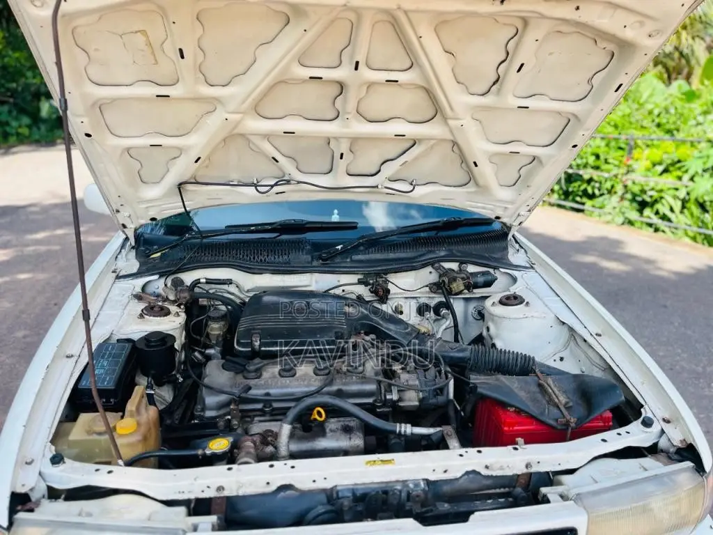Nissan B13 1993 Car (Used)