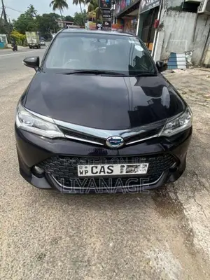 Toyota Axio 2016 Car (Used)