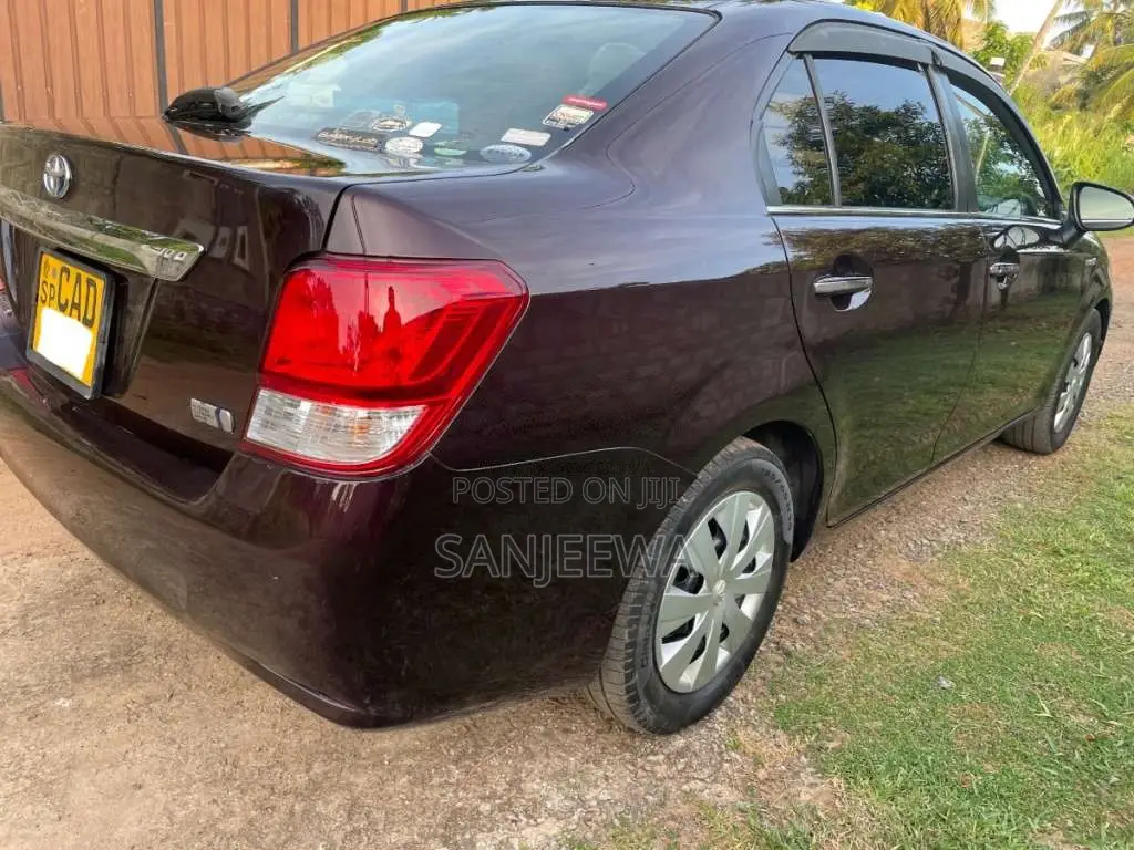 Toyota Axio 2014 Car (Used)