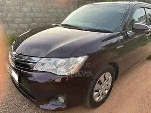 Toyota Axio 2014 Car (Used)