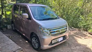 Suzuki Wagon R Fz Safety 2014 Car (Used)