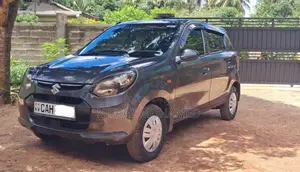 Suzuki Alto 2015 Car (Used)
