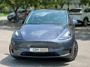 Tesla Model Y 2023 Car (Used)