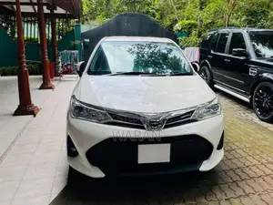 Toyota Axio 2019 Car (Used)